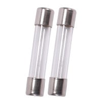 2A 3AG Slow Blow Fuse 1-1/4&quot; x 1/4&quot; (6 mm x 30 mm) 2-Pack