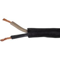 Consolidated 12 AWG 2C Portable AC Power Cable SJOOW 25 ft.