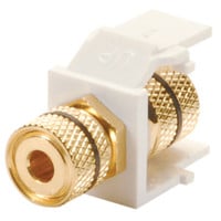 Audtek Keystone Module Black 5-Way Binding Post - White Insert