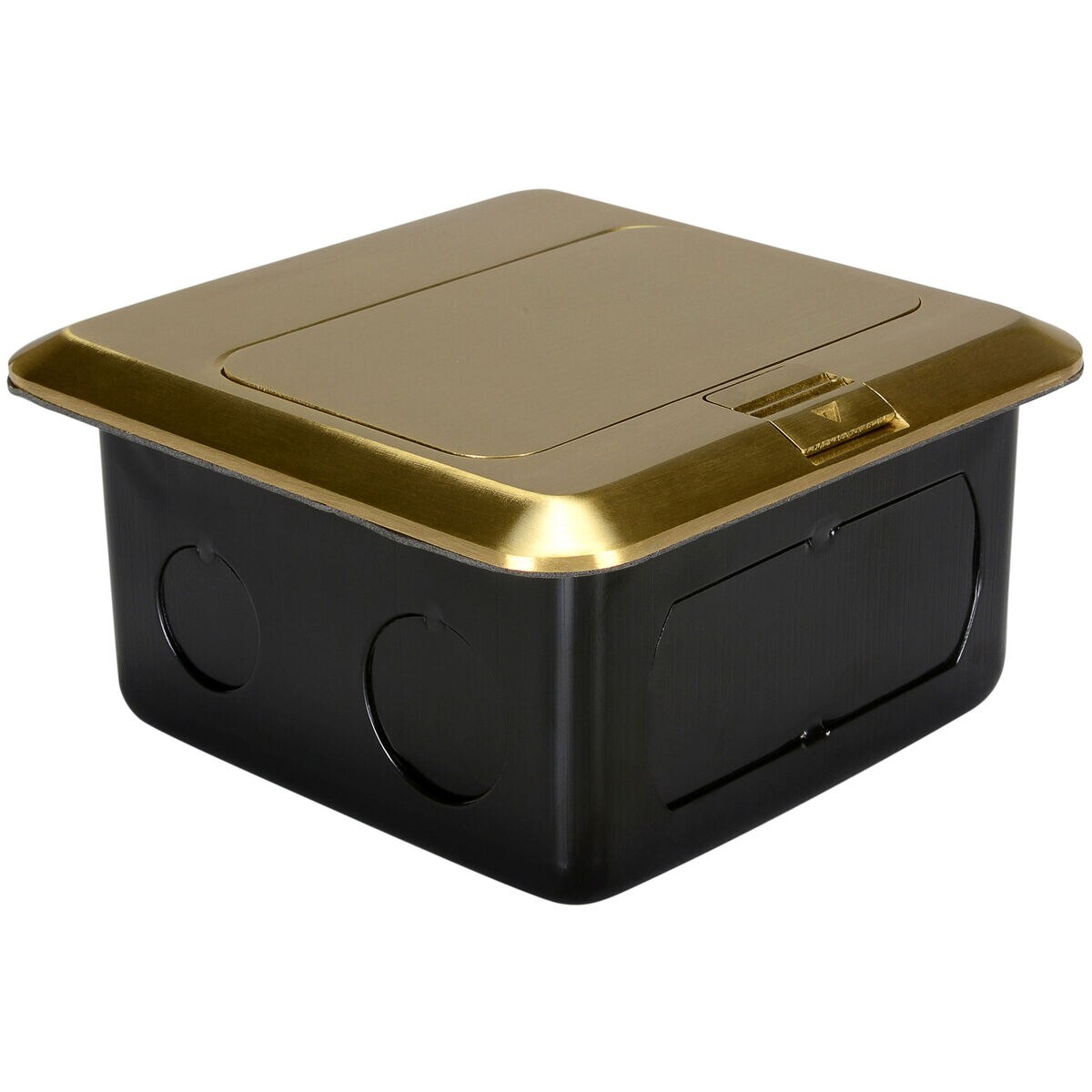 F box 2 gang pop up floor box BRASS - munimoro.gob.pe