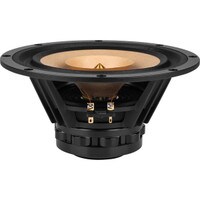 Tang Band W8-1772 8&quot; Neodymium Full Range Driver
