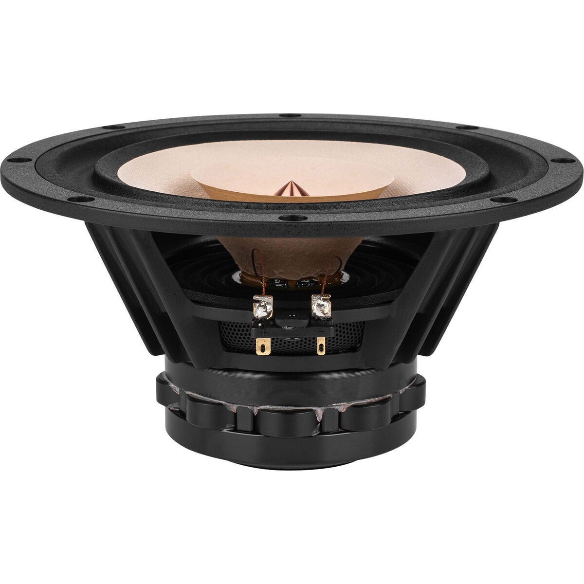 Tang Band W8 1808 8 Neodymium Full Range Driver