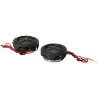 Tang Band W0-2008S 1&quot; Neodymium Full-Range Driver Pair