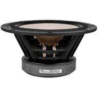 Tang Band W8-2145 8&quot; Paper Cone Full Range Driver 8 Ohm