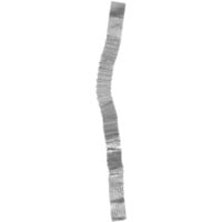 Aurum Cantus G3 Replacement Ribbon