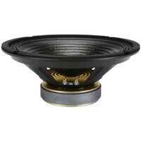 Goldwood GW-1038/PA 10&quot; PA / Musical Instrument Speaker