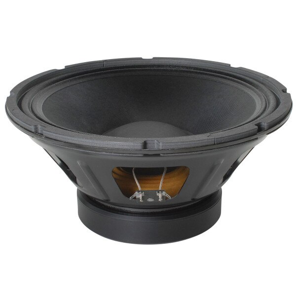 Aazon.co: Einence Aerican Standard Alpha-12A 12" Pro Audio Speaker