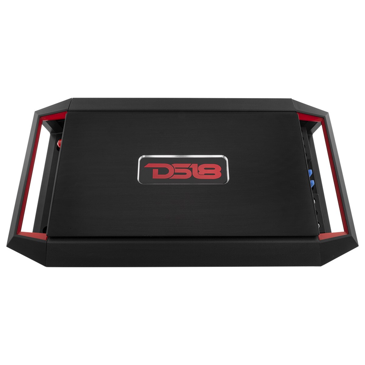 DS18