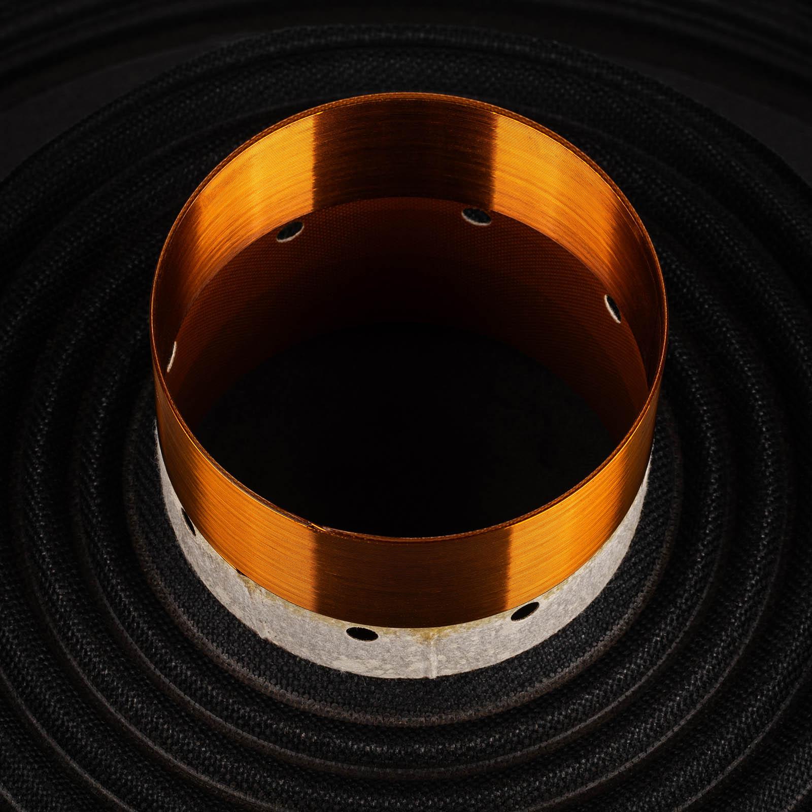 voice coil detail