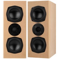 AviaTrix-RST Sealed MTM Speaker Kit Pair with Knock-Down Cabinets