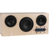 Executive 200 Watt Portable Bluetooth Speaker Kit