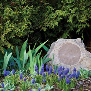 An outdoor speaker that looks like a rock in a garden.