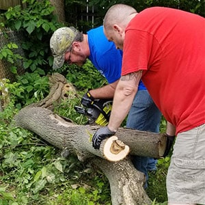 Cleaning up fallen trees after a storm in the local area.