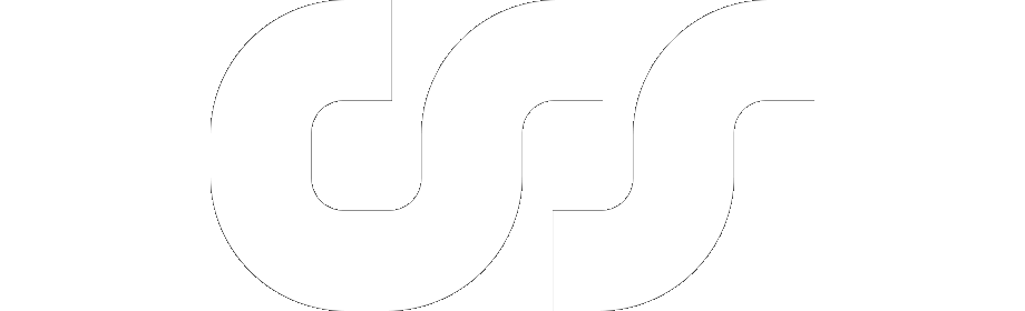 CSS logo