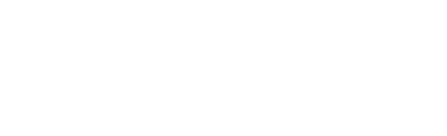 FX Audio logo