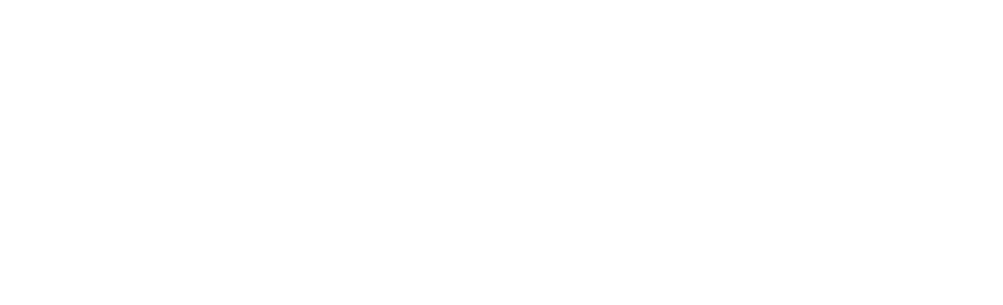 Polk Audio logo