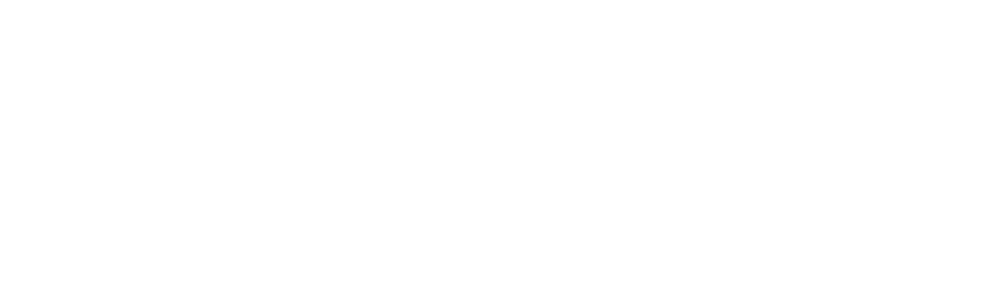 Talent Sound & Lighting logo