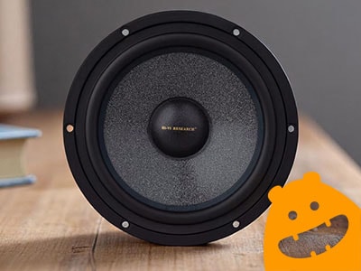 6.5 inch Reinforced Paper Cone Woofer