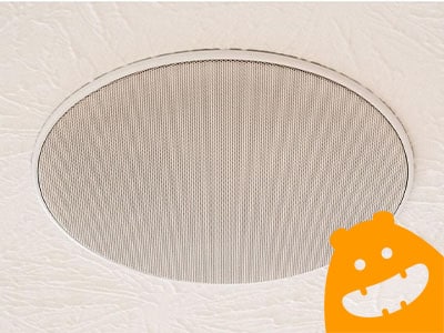 Dayton Audio In-Ceiling Speaker