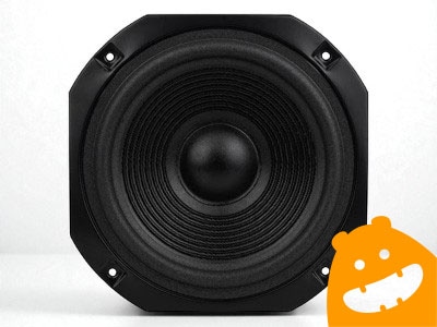 GRS 10 inch Square Frame Paper Cone Woofer